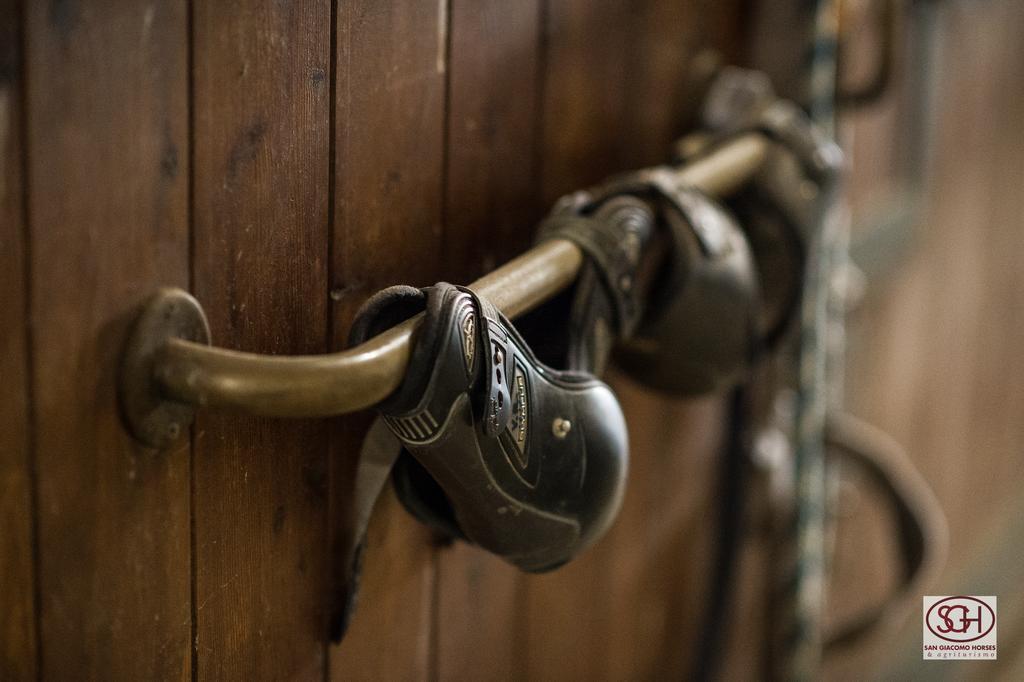 San Giacomo Horses & Agriturismo Arluno Exterior photo