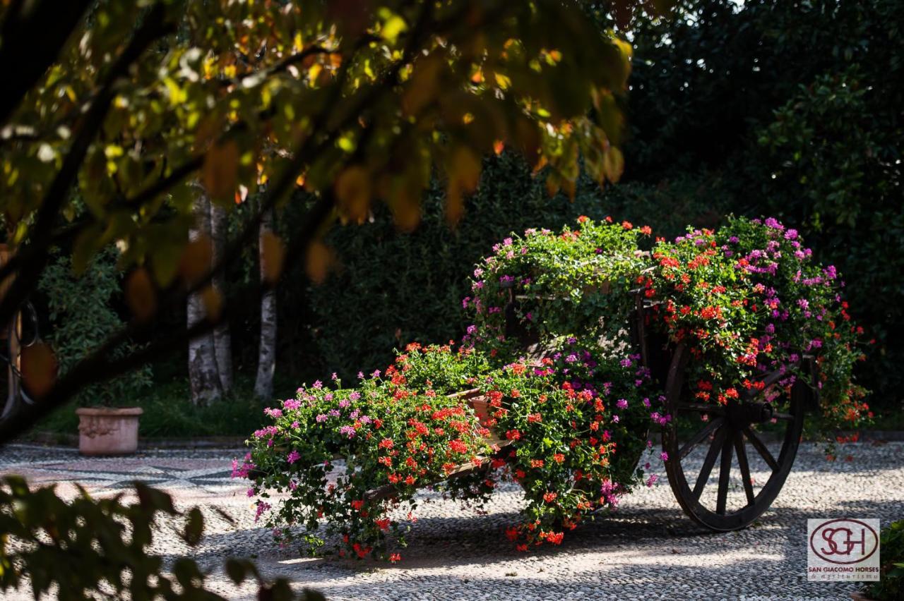San Giacomo Horses & Agriturismo Arluno Exterior photo